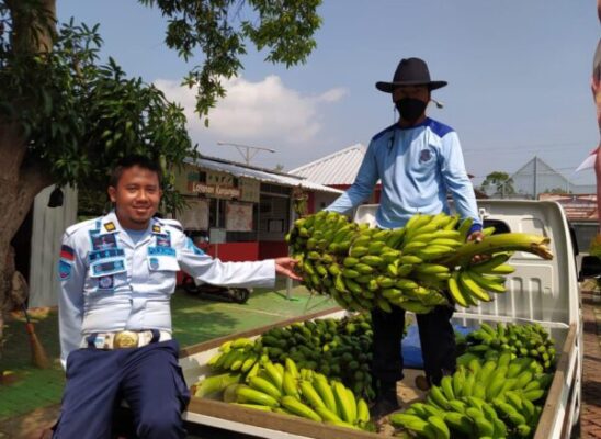 Hasil panen pisang Lapas Terbuka Kendal