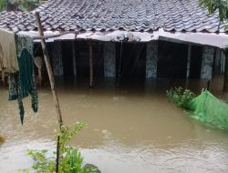 Rumahnya Terendam Banjir, Warga Rowosari Berharap Perhatian Pemerintah