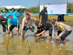 Gandemg PT Doulton, DLH Kendal Tanam 2.500 Mangrove di Pesisir Pantai