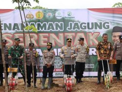 Sinergi Polri dan Petani: Penanaman Jagung Serentak di Merbuh Kendal