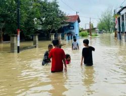 Dua Hari Hujan, Kendal Dikepung Banjir dan Pohon Tumbang Satu Orang Meninggal Dunia