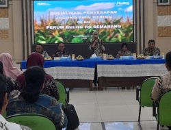 Bulog Sosialisasikan Penyerapan Jagung Pipil Kering di Kendal
