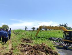 Enceng Gondok di Sungai Buntu Dibersihkan