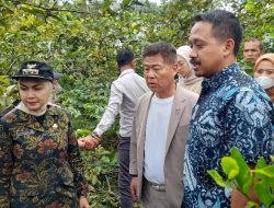 Walikota Sue Machi Kunjungi Kebun Kopi di Sukorejo